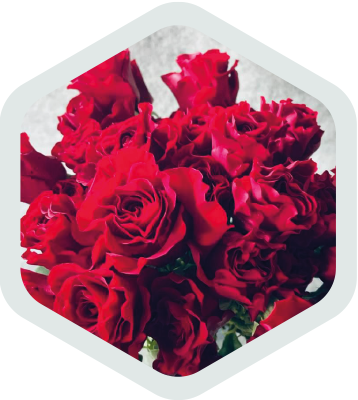 Spray Roses_Red _Red Storm