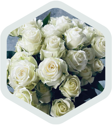 Spray Roses_White_Pegasus